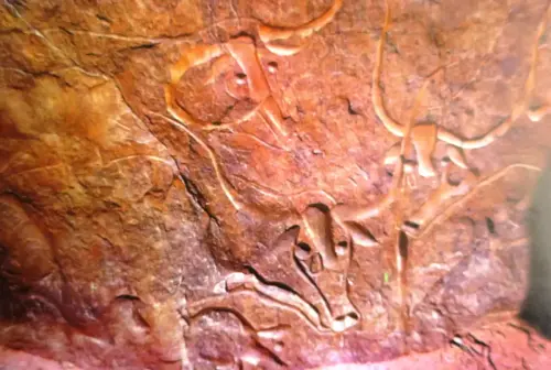 PIN-043a-Grabado-con-dedos-Tassili-Argelia