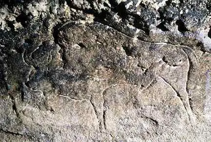 PIN-043c-Grabado-en-roca-dura-Bisonte