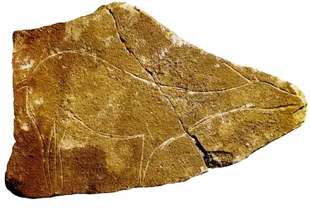 PIN-043f-Grabado-en-roca-dura-Ciervo-de-la-cueva-de-ParpallO-Gandia-Valencia