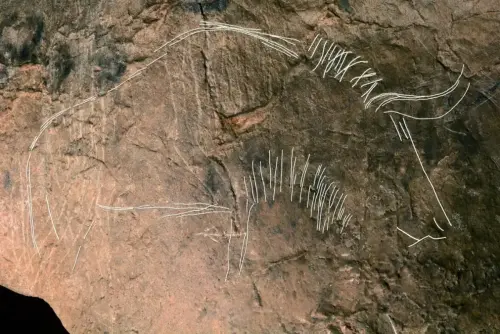 PIN-043j-Grabado-en-roca-dura-Bisonte-de-Landarbaso-San-Sebastian