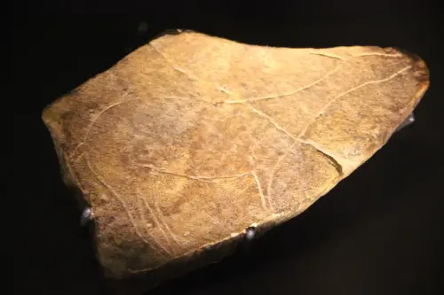 PIN-043k-Grabado-en-roca-dura-Altamira