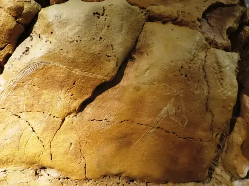 PIN-043ll-Altamira-reproduccion