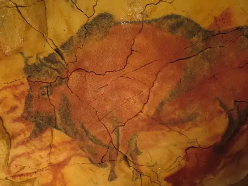 PIN-075-Altamira-neocueva