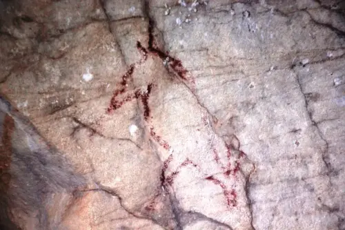 PIN-094a-Cabra-Cueva-del-Nino-Ayna-