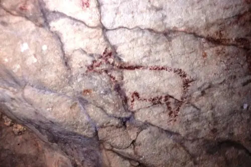 PIN-094b-Cabra-Cueva-del-Nino-Ayna-