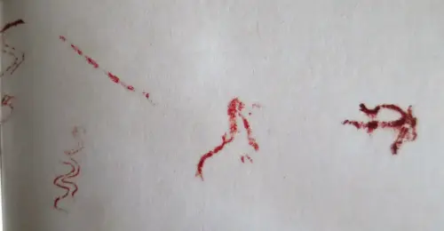 PIN-099-Panel-secundario-Ayna