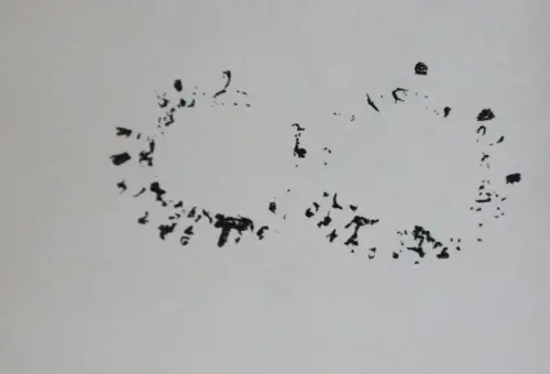 PIN-231e-Arte-esquematico-Soliformes