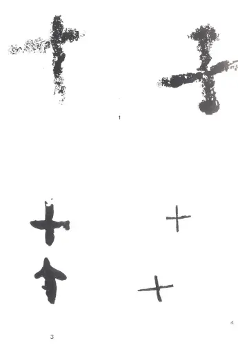 PIN-231g-Arte-esquematico-Alteriformes