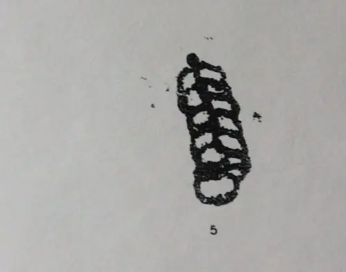 PIN-231h-Arte-esquematico-Indefinido