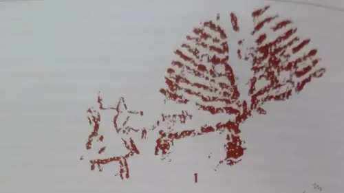 PIN-234-Arte-esquematico-Tinada-del-Ciervo-Nerpio