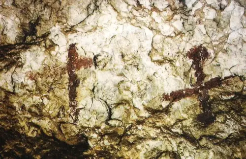 PIN-248-Nerpio-Alteriformes