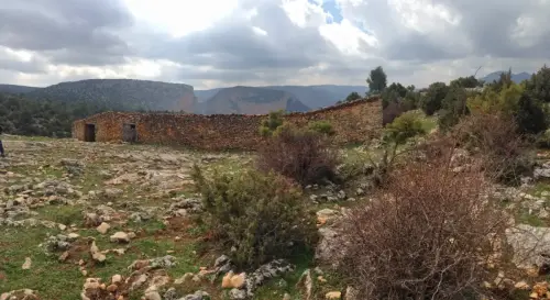 PIN-249-Yeste-Tenada-de-Los-Atochares