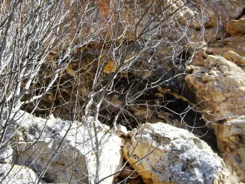 PIN-258-Yeste-vista-de-la-cueva