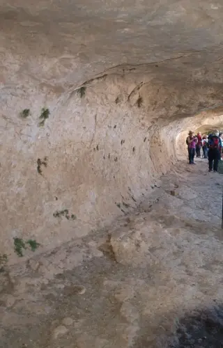 PIN-260-Alcaraz-Valle-del-rio-Escorial-