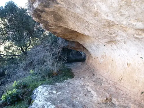 PIN-261-Alcaraz-Valle-del-rio-Escorial-