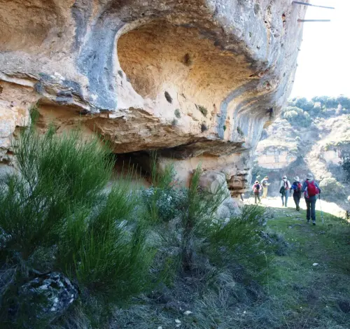 PIN-262-Alcaraz-Valle-del-rio-Escorial