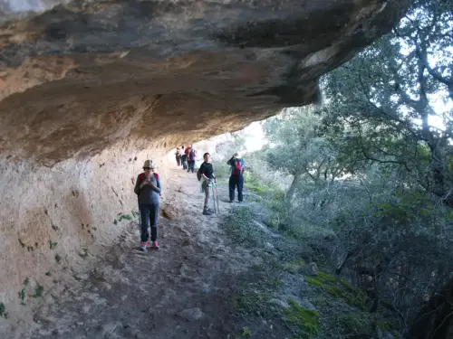 PIN-263-Alcaraz-Valle-del-rio-Escorial