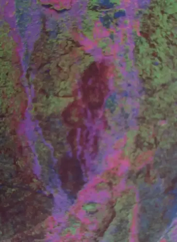 PIN-268-Polilobulado-de-4-lobulos-panel-1