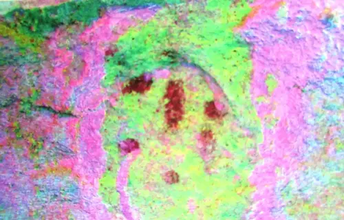 PIN-269-Ramiforme-de-3-brazos-panel-3