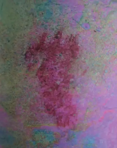 PIN-271-Panel-5-Polilobulado-de-4-lobulos-con-tocado-tipo-peine