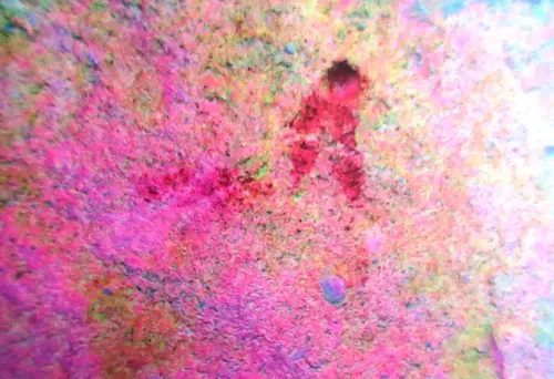 PIN-272-Soliforme-panel-7