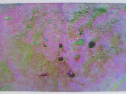 PIN-275-Cantos-rodados-pintados-panel-13