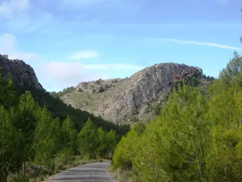 PIN-278-Socovos-Solana-del-Molinico