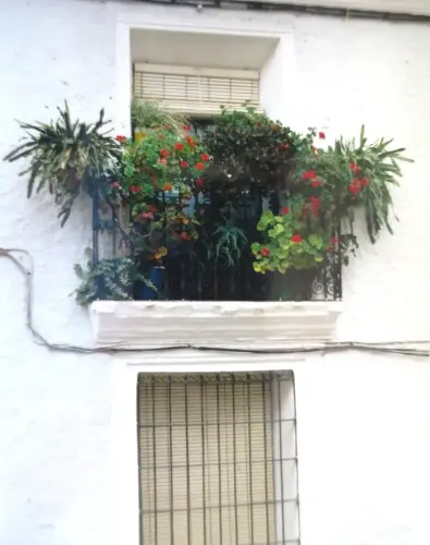 Balcones-Paterna-del-Madera