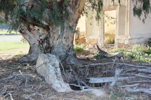 Balnearios-La-Apestosa-Tobarra4