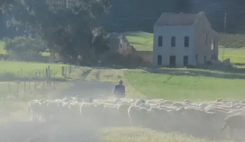 Balnearios-La-Apestosa-Tobarra6