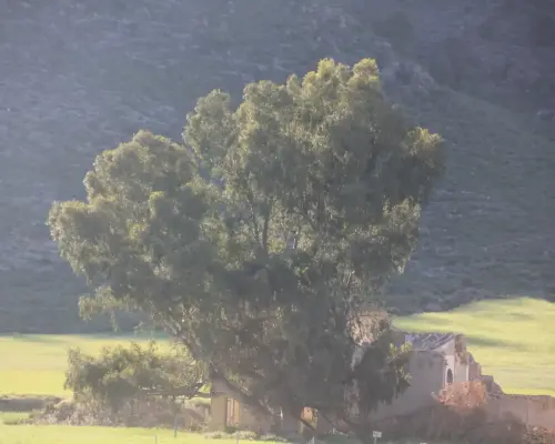 Balnearios-La-Apestosa-Tobarra7