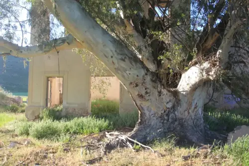 Balnearios-La-Apestosa-Tobarra9