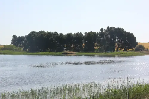 Balnearios-San-Jose-Corral-Rubio3