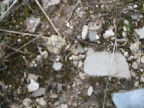 Carboneras-El-Ballestero4