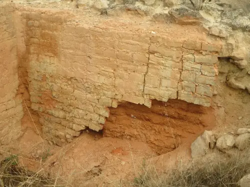 Tejeras-Fuentealamo5