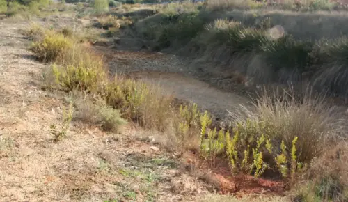 Tejeras-Lietor-El-Paradero15