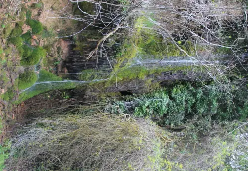 Cascadas-Los-Alejos-Molinicos