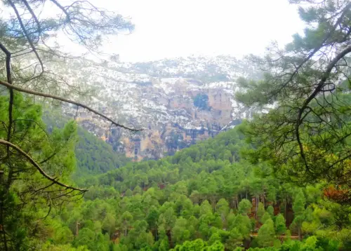 0-Cueva-de-Los-Chorros10