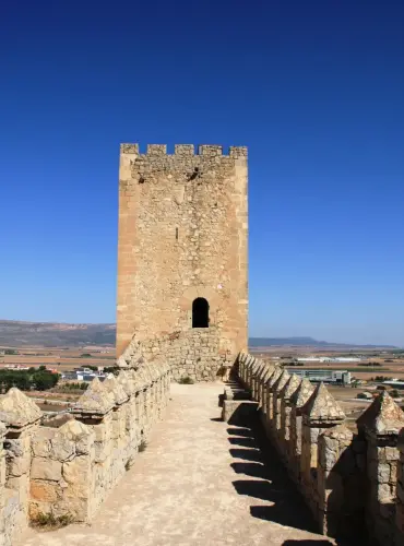 Castillos-Almansa11