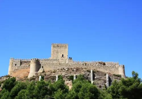Castillos-Almansa22