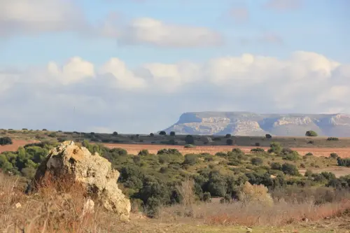 Castillos-Alpera-San-Gregorio12