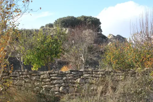 Castillos-Alpera-San-Gregorio9