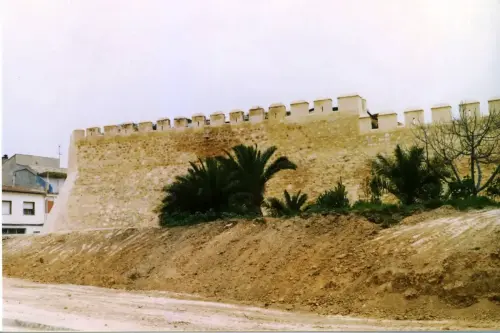 Castillos-Caudete-Muralla3