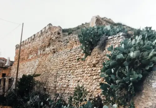 Castillos-Caudete-Muralla6