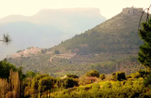 Castillos-Cotillas-De-la-Hiedra11