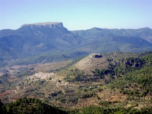 Castillos-Cotillas-De-la-Hiedra2