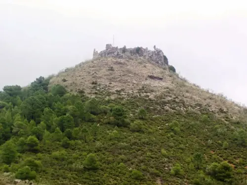 Castillos-Cotillas-De-la-Hiedra4