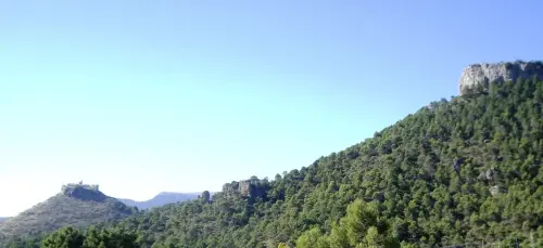 Castillos-Cotillas-De-la-Hiedra6