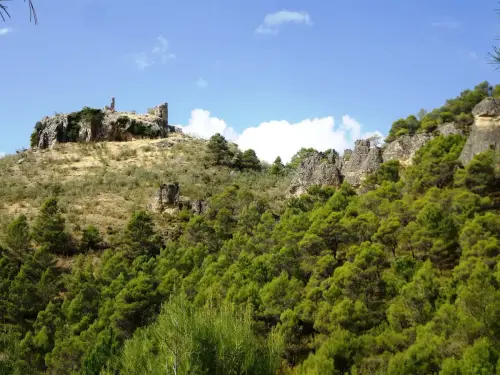 Castillos-Cotillas-De-la-Hiedra9