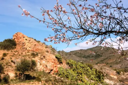 Castillos-Hijar-Lietor8